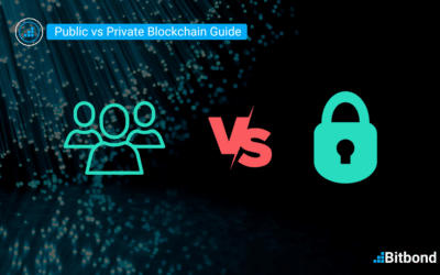 Public vs Private Blockchains – Your Ultimate Guidebook
