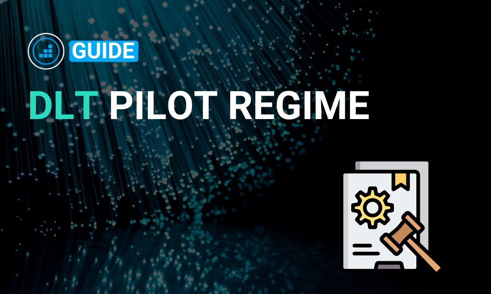 Comprehensive guide to the DLT pilot regime