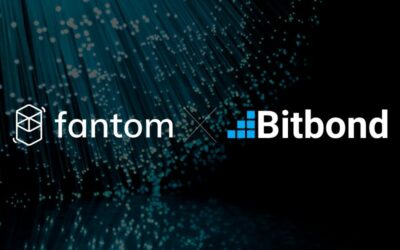 Bitbond adds support for Fantom blockchain in Token Tool